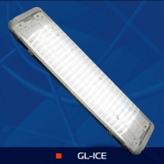    GL-ICE-36
